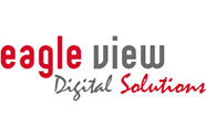 eagle view