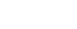Squid Digital logo seo and digital solutions sydney