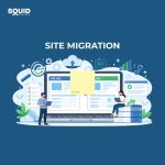 Zero Loss Site Migrations: The Technical SEO Checklist 6 Site migration 1024x1024 1